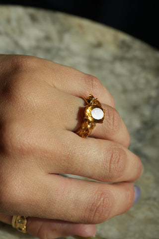CITRINE GARDENS SZ 6