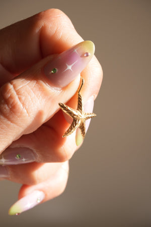 LITTLE STARFISH