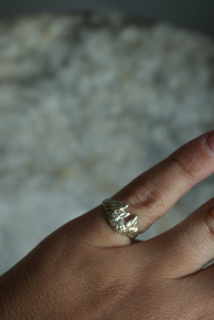 HORSESHOE SZ 4
