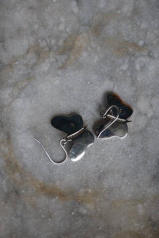 OPAL BUTTERFLIES