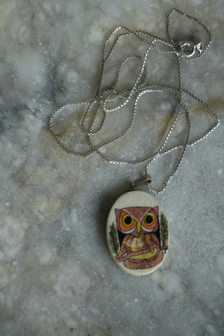 WHAT A HOOT