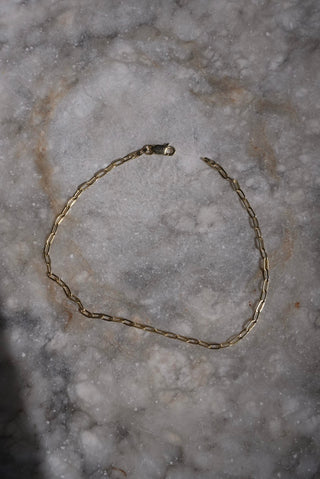 Slinky Gal - Vermeil Petite Link Anklet