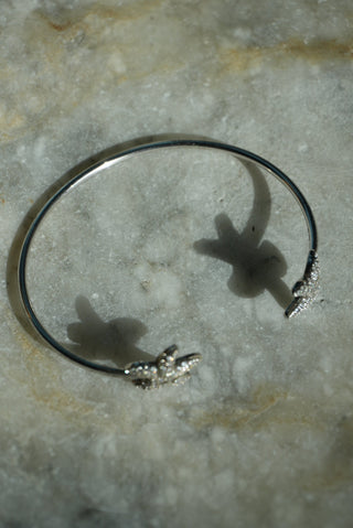 STARFISH COMPLIMENTS