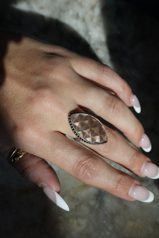 ABALONE FRACTALS SZ 7