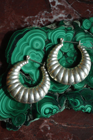 SHRIMPINA HOOPS