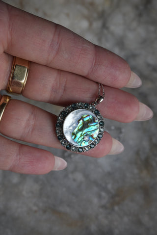 ABALONE DREAMS