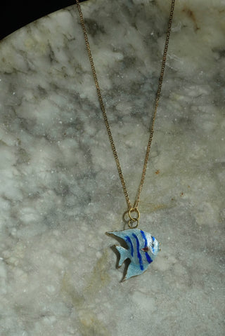 ANGELFISH CUTIE