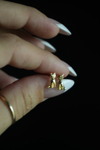 14K KITTY STUDS