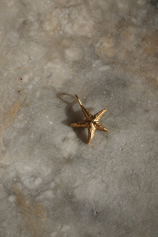 LITTLE STARFISH