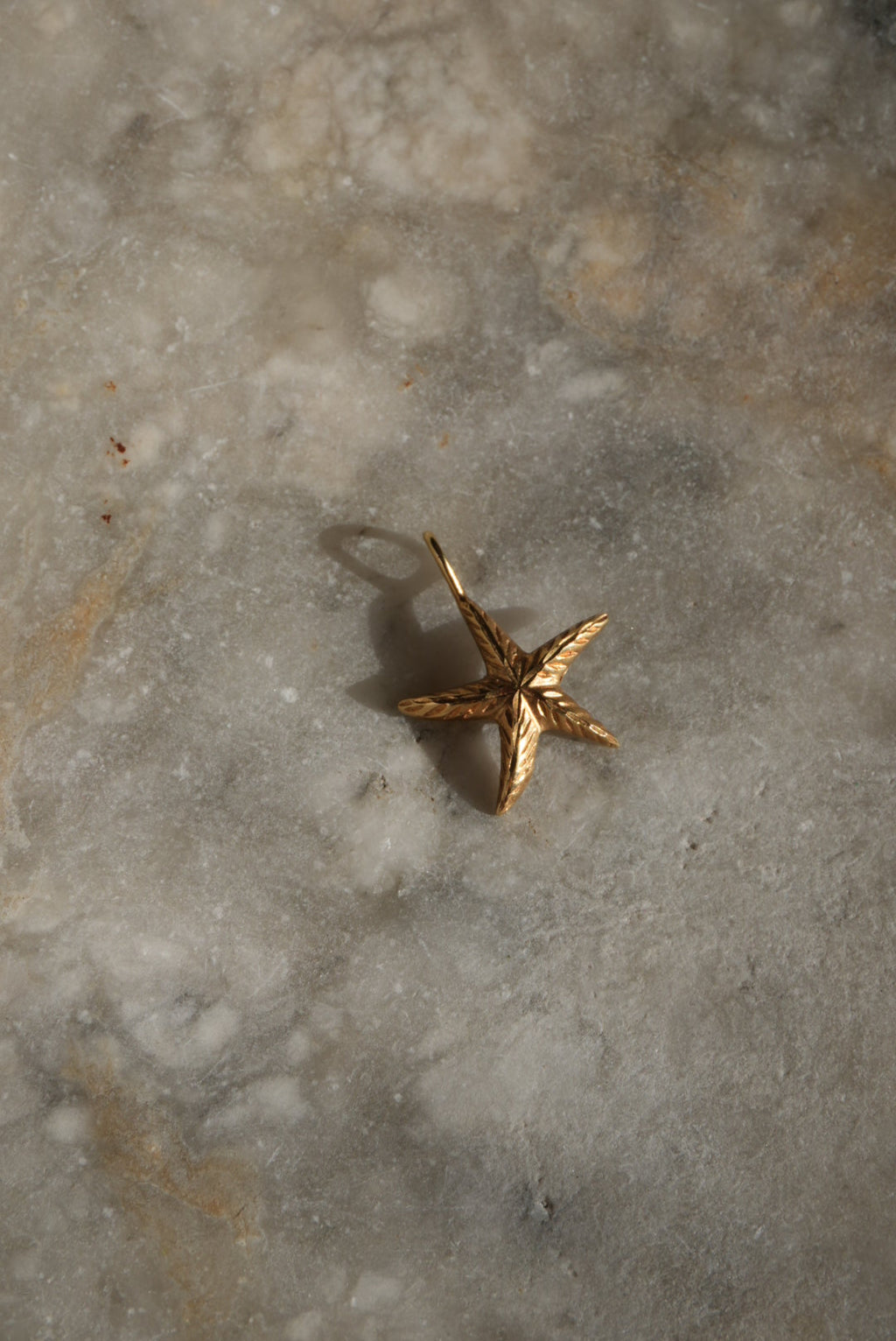 LITTLE STARFISH