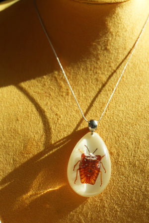 LYCHEE BUG KEEPSAKE