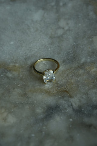 PRINCESS SZ 5