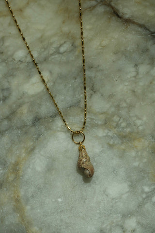 MINI CONCH