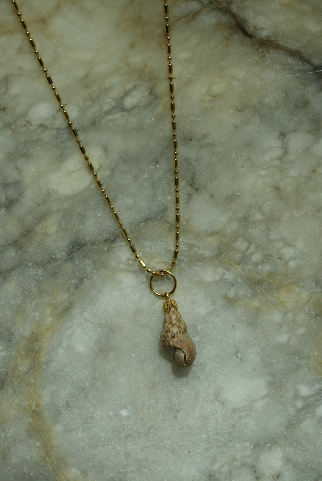 MINI CONCH