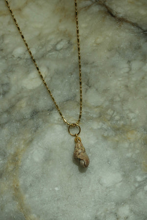 MINI CONCH
