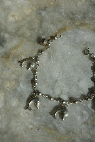 DOLPHIN FRIENDS