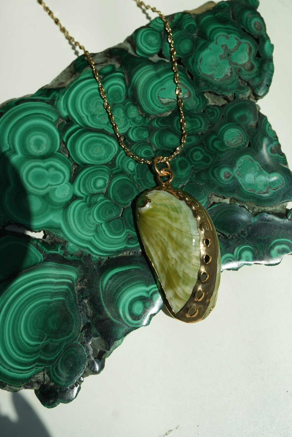 SHELL #2