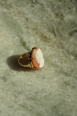 CAMEO DREAMER