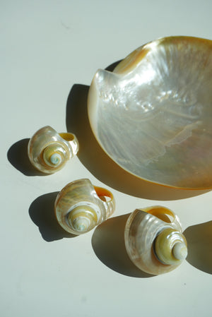 SHELL LEVEL 1000