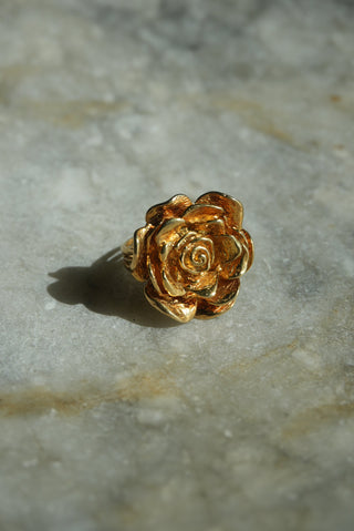 GOLDEN ROSE SZ 6