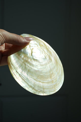 MOTHER OF PEARL SHELL JEWELRY TRAY