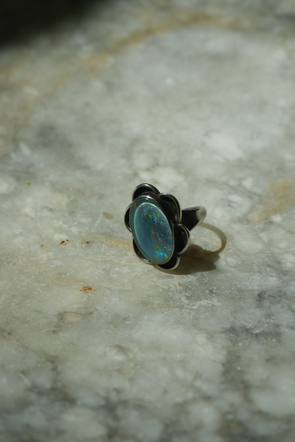 DARK OPAL DAISY SZ 5