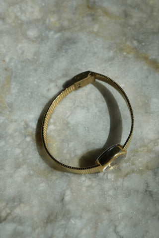 TINY TIMEX