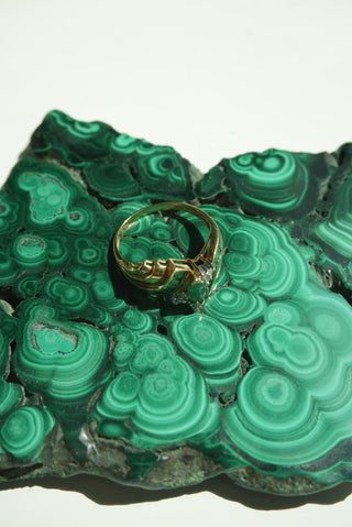 NOT UR MOMS RING