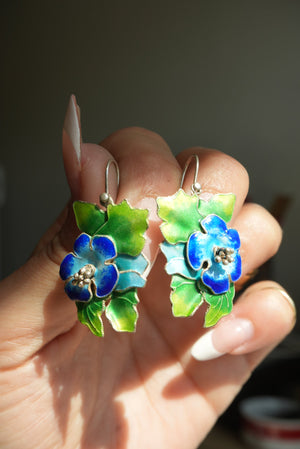 SWEET HIBISCUS