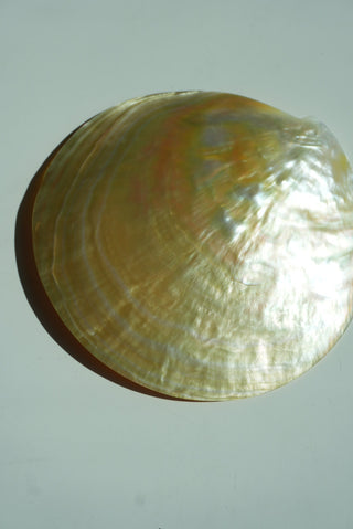 MOTHER OF PEARL SHELL JEWELRY TRAY