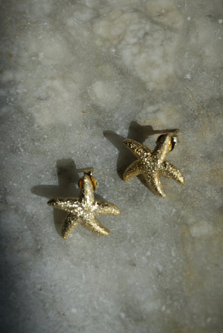 STARFISHIES
