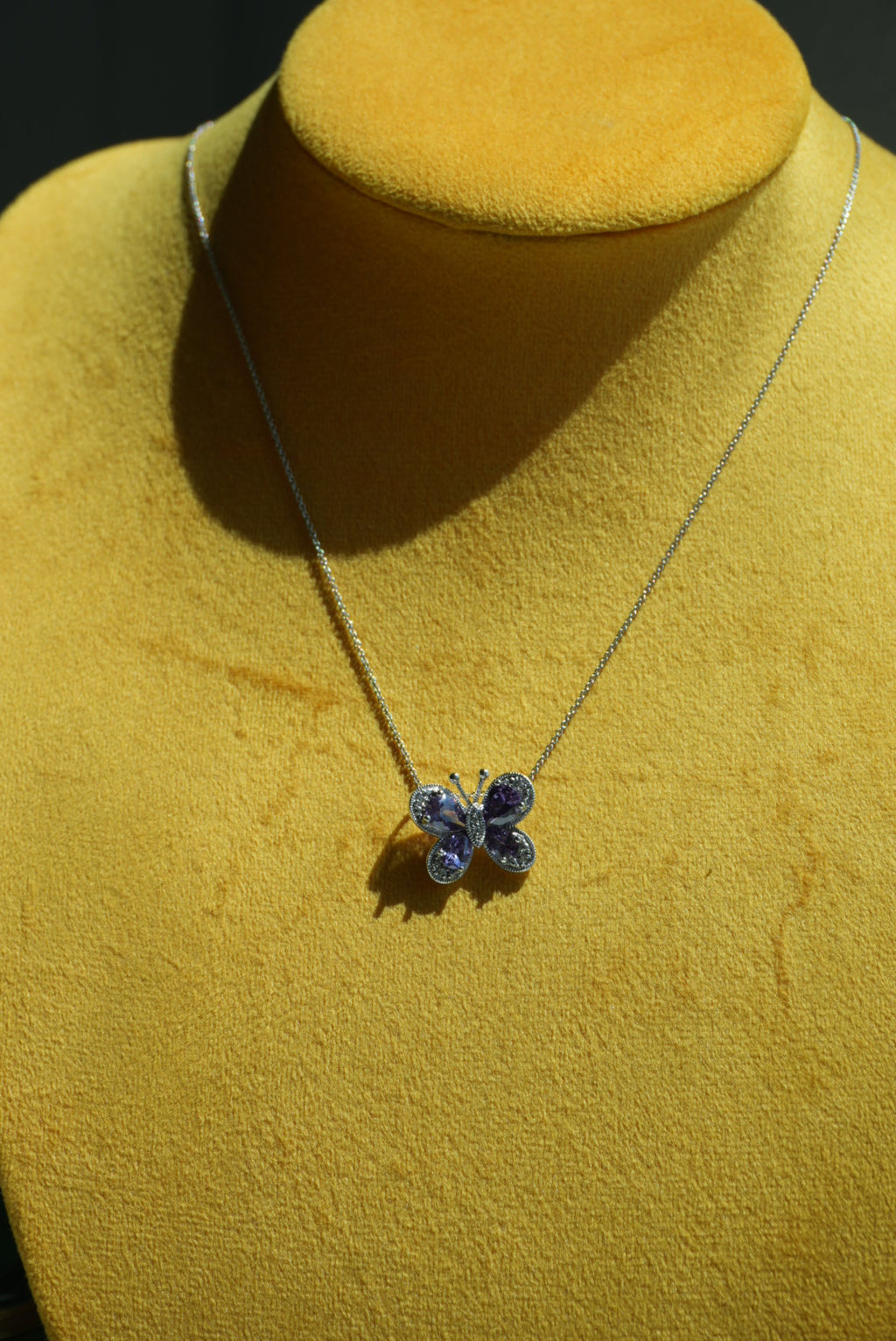BIMINI BUTTERFLY