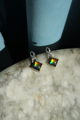 14K AMMOLITE EARRINGS