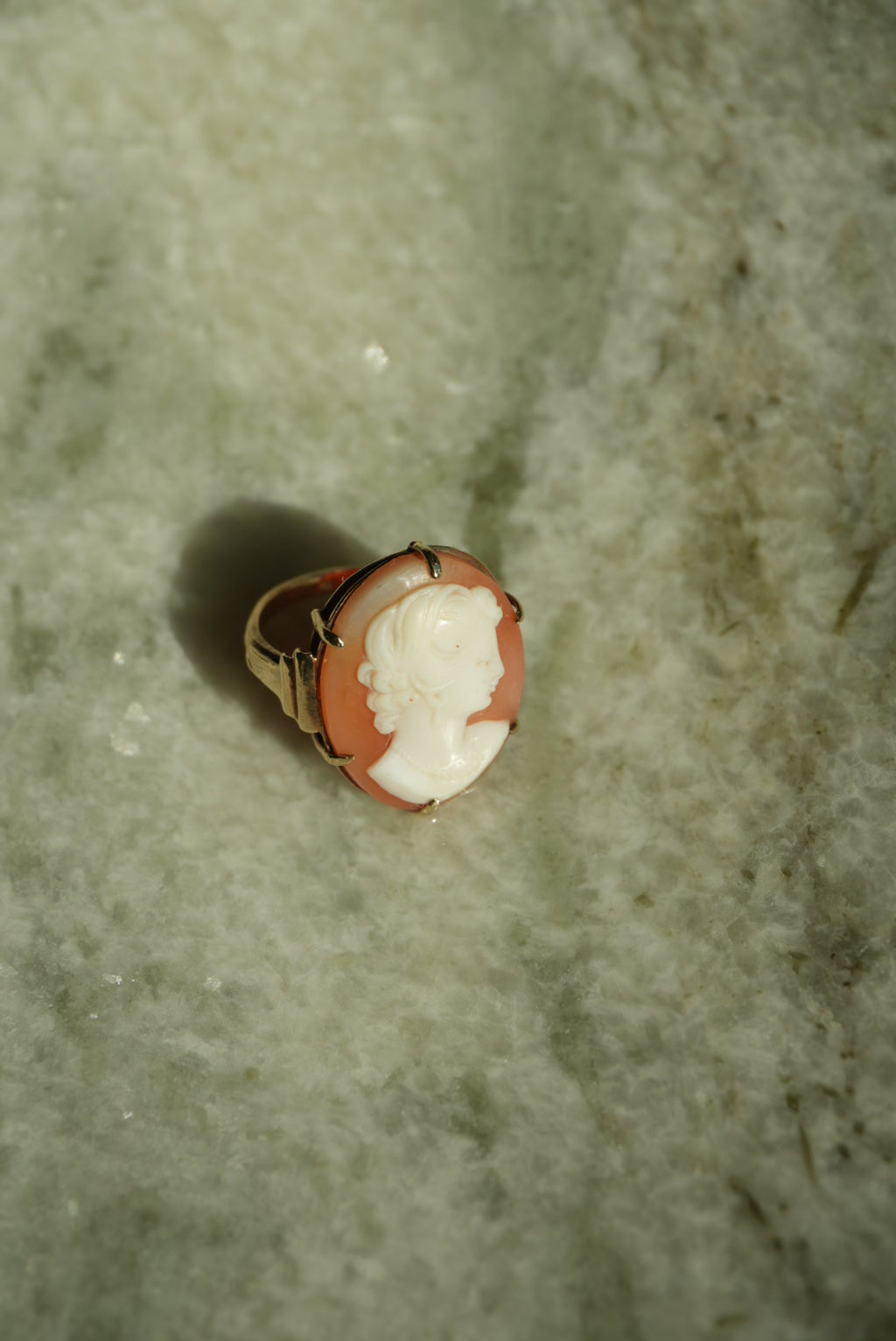 CAMEO DREAMER