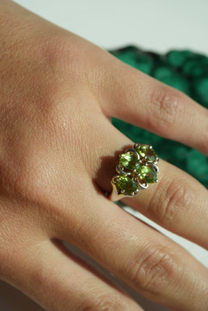 GREEN CLOVER SZ 6