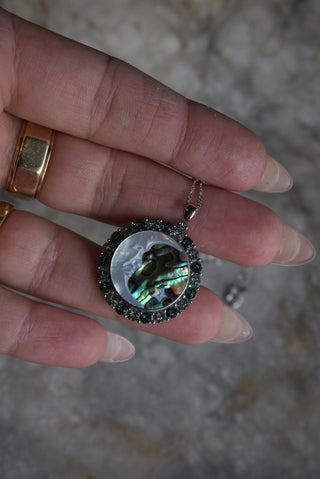 ABALONE DREAMS