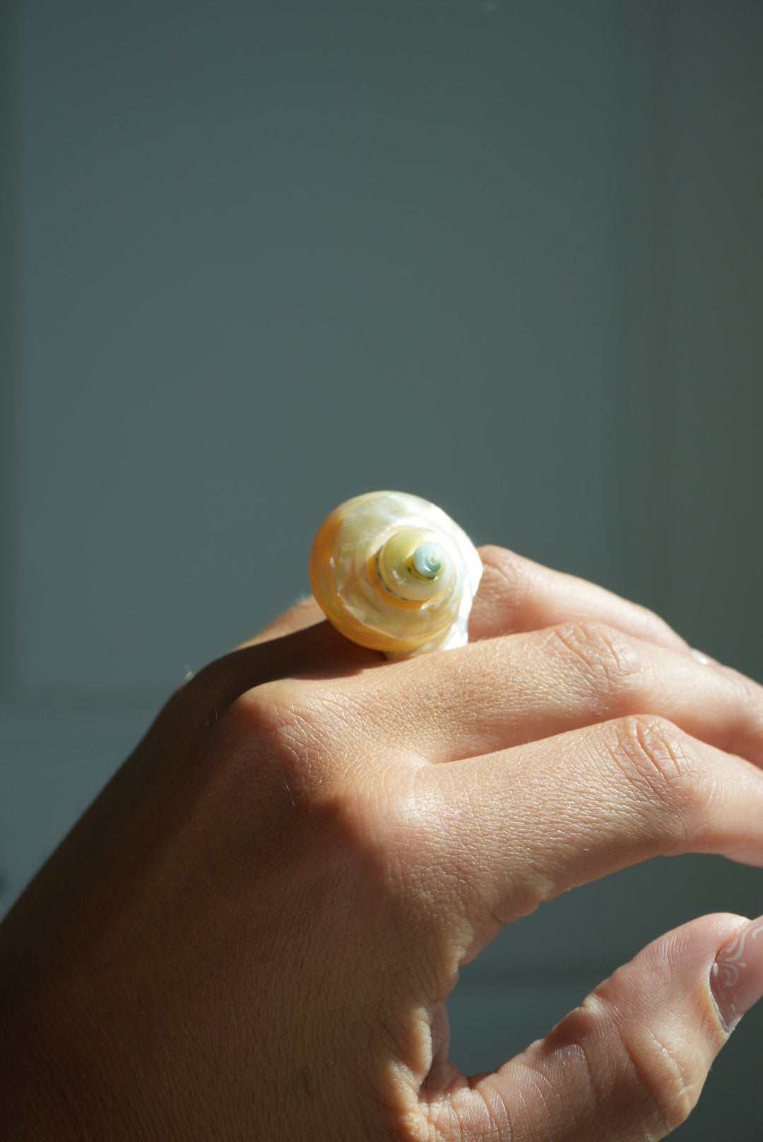 SHELL LEVEL 1000