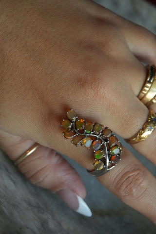OPAL VINES