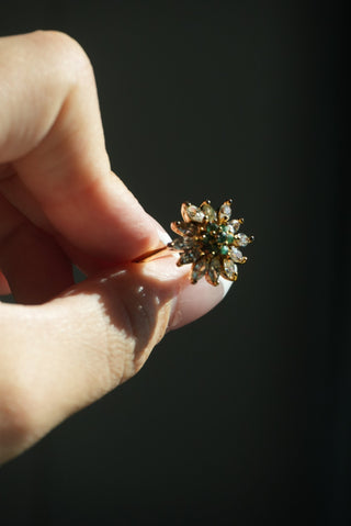 FLOWER BURST 6.5