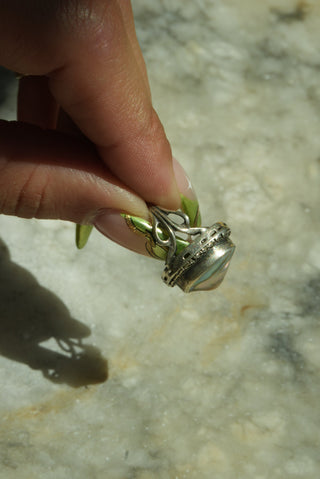 STERLING OYSTERS