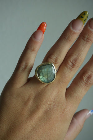 OCEAN ROCK SZ 6