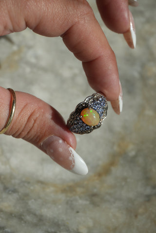 JELLY OPAL DREAMLAND SZ 8