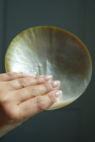 MOTHER OF PEARL SHELL JEWELRY TRAY