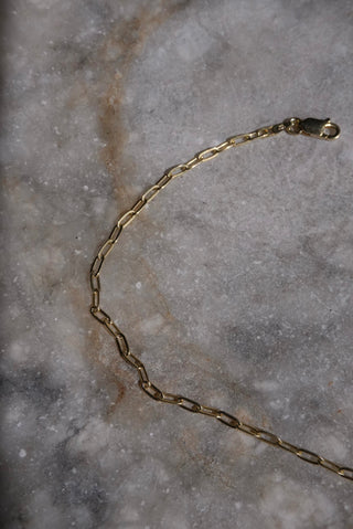 Slinky Gal - Vermeil Petite Link Anklet