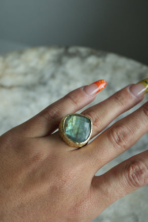 OCEAN ROCK SZ 6