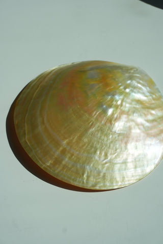 MOTHER OF PEARL SHELL JEWELRY TRAY