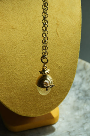 SPARTINAs ACORN