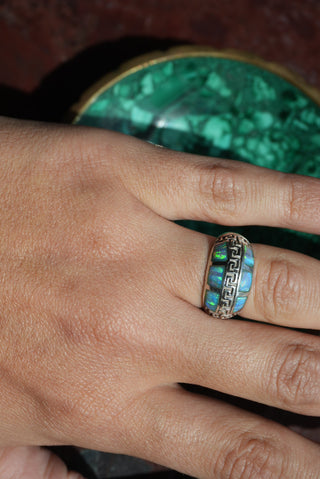 OPAL WORLD SZ 6