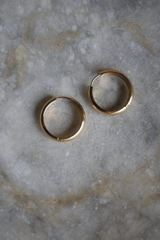GOLDEN HOOPS