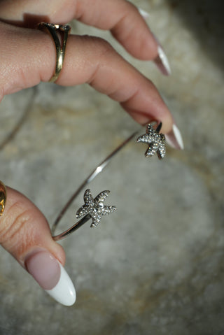 STARFISH COMPLIMENTS